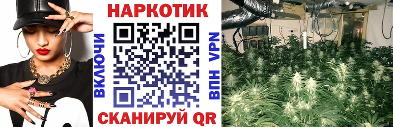 Какие есть наркотики Кизел А ПВП  ссылка на мегу ТОР  АМФЕТАМИН  Бошки Шишки  МЕФ  Кокаин 