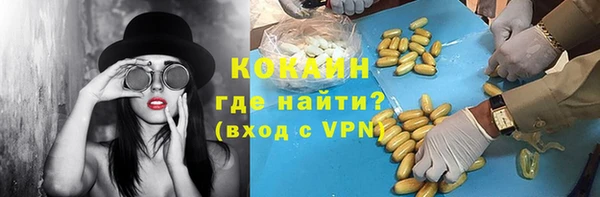 хмурый Белокуриха