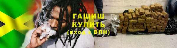 хмурый Белокуриха