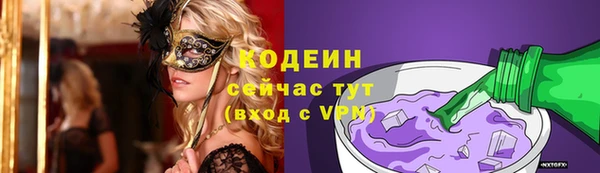 хмурый Белокуриха