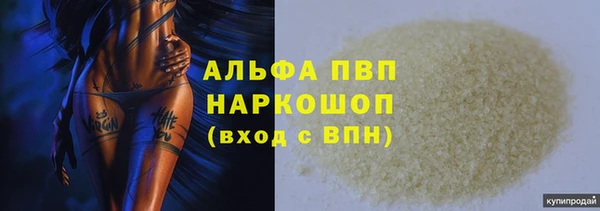 хмурый Белокуриха