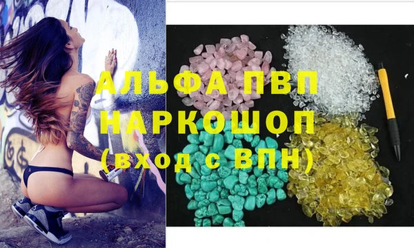 хмурый Белокуриха